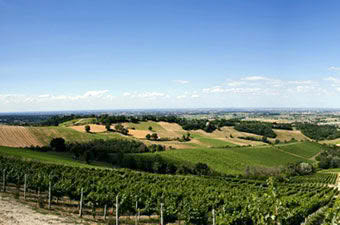 Vini dei Colli di Parma