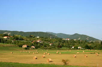 Strade dei vini e dei sapori